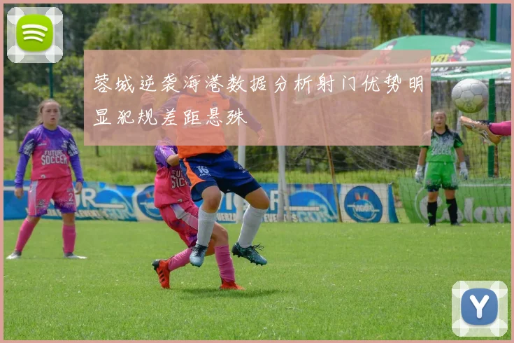 蓉城逆袭海港数据分析射门优势明显犯规差距悬殊