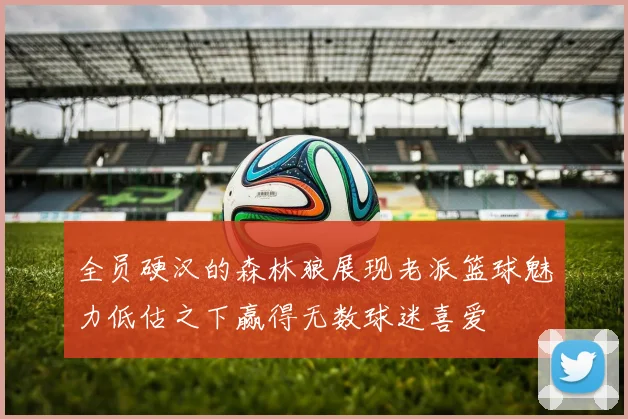 全员硬汉的森林狼展现老派篮球魅力低估之下赢得无数球迷喜爱