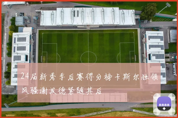 24届新秀季后赛得分榜卡斯尔独领风骚谢泼德紧随其后